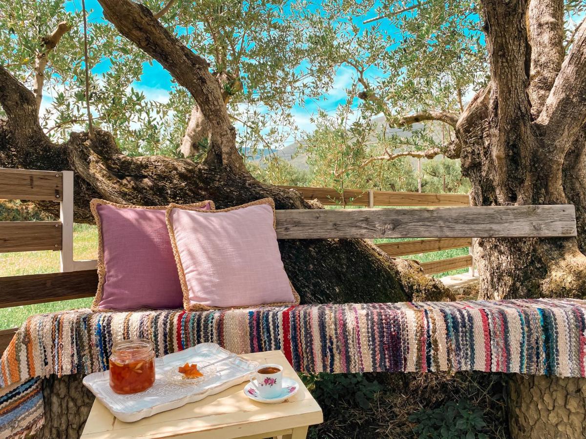 Olivar House Holiday home