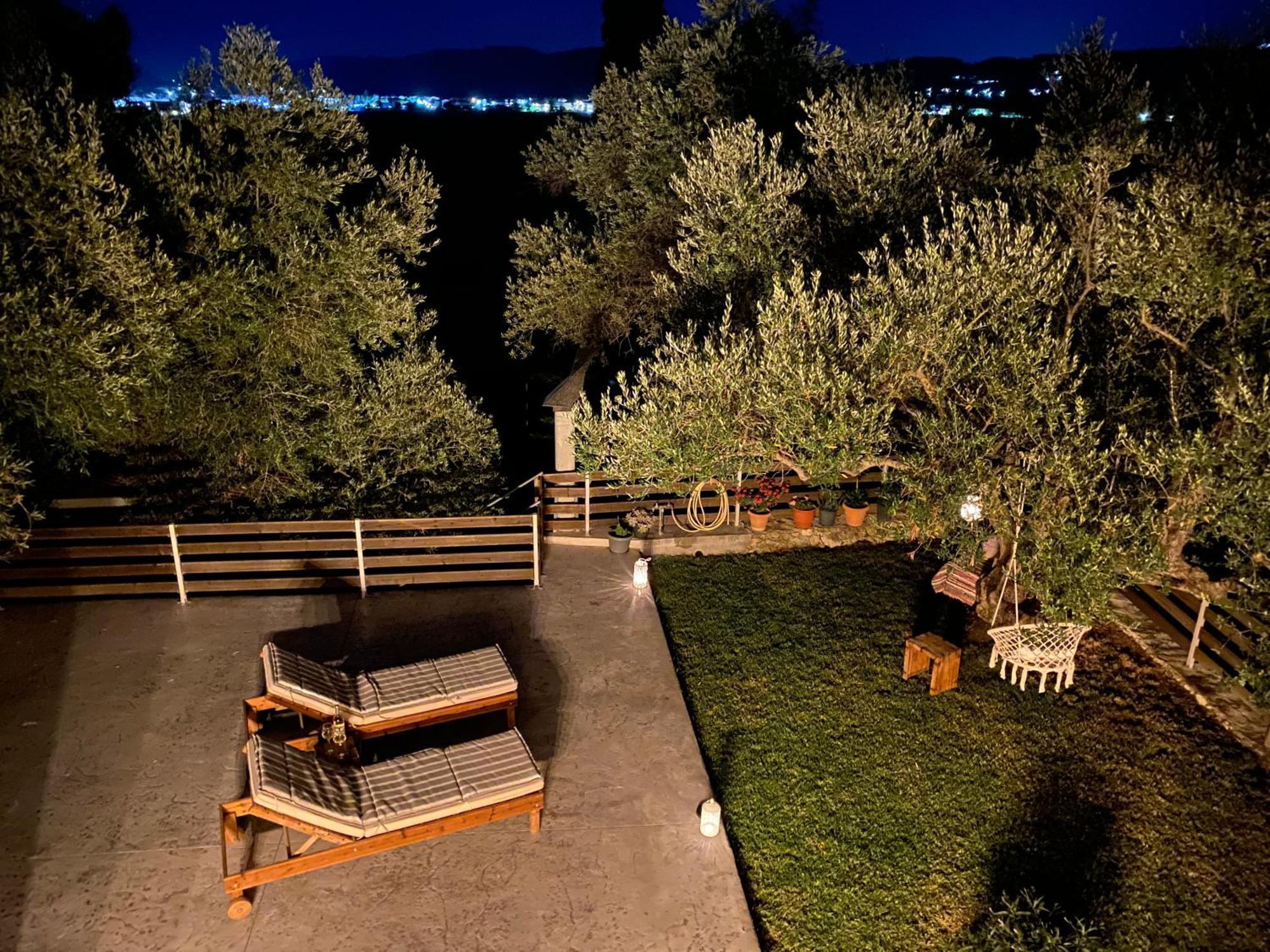 Olivar House