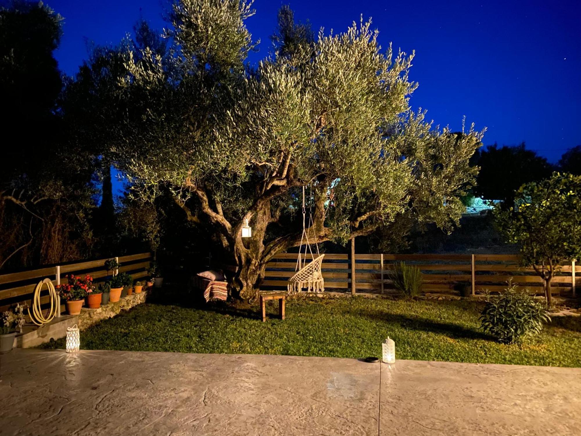 Olivar House *